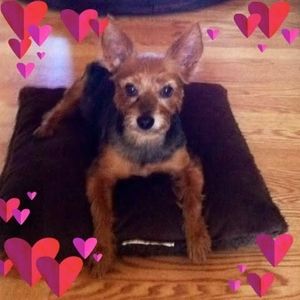 Meet your Posher, Diane n